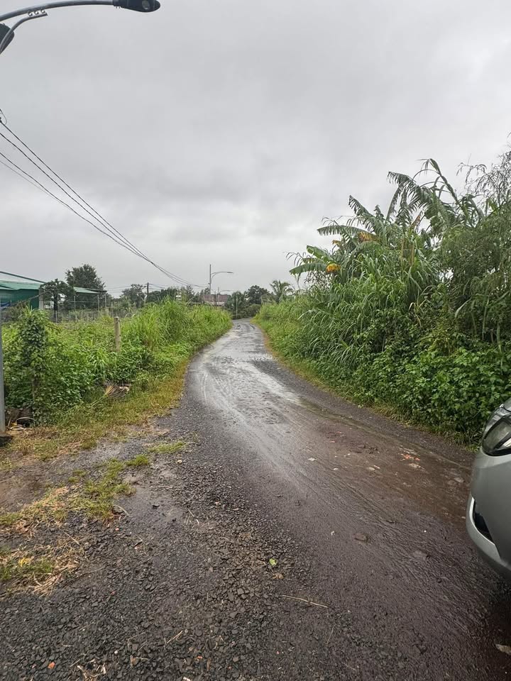 Đất nền Phường Thống Nhất, Buôn Hồ 1625m² giá 1.625 tỷ - Thích hợp làm nhà vườn!