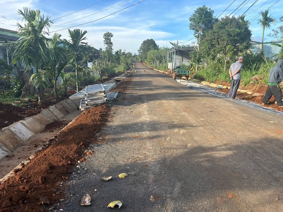 Đất 3 Sào Lạc Long Quân, An Bình, Đắk Lắk - Giá chỉ 4.999 tỷ, thích hợp làm nhà vườn!