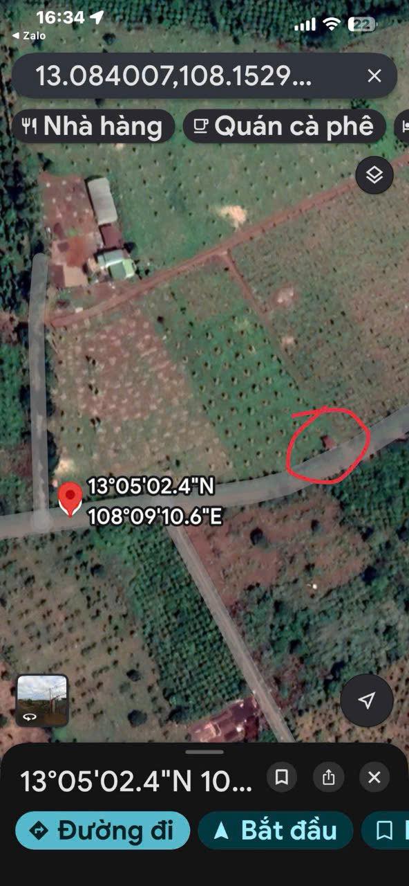 Đất nông nghiệp 1ha tại Krông Búk, Đắk Lắk - Giá 5.7 tỷ, nguồn thu ổn định!