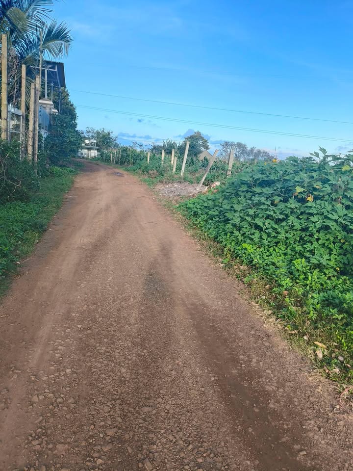 Đất thổ cư Pơng Drang 216m² giá 1.8 tỷ - Đầu tư sinh lời ngay!