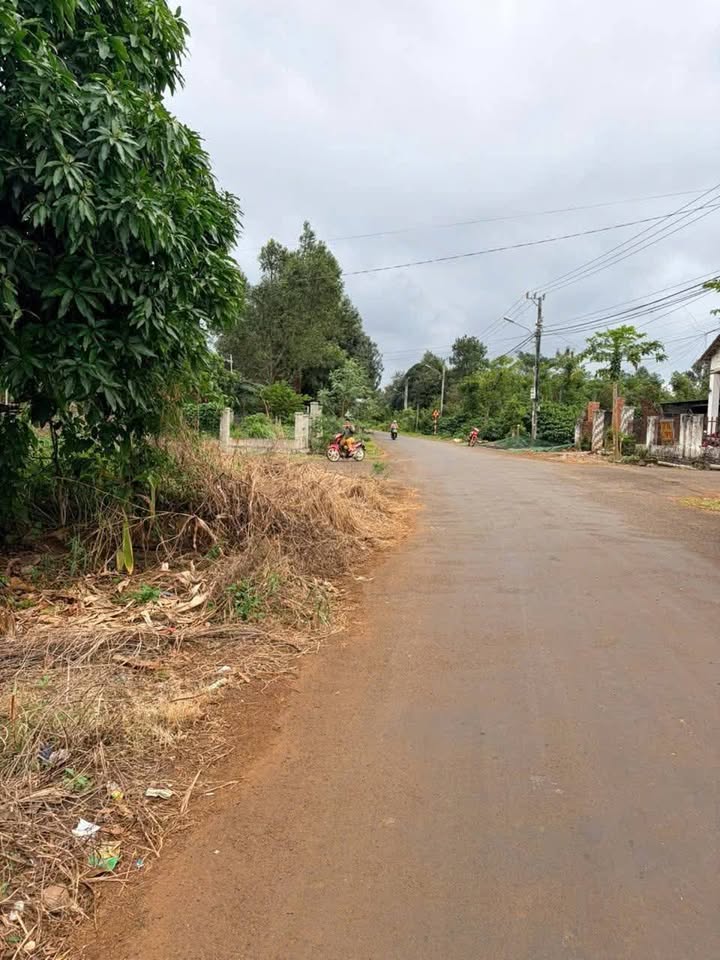 Đất mặt tiền Phan Huy Chú 100m² giá chỉ 1.5 tỷ - Đầu tư sinh lời cao!