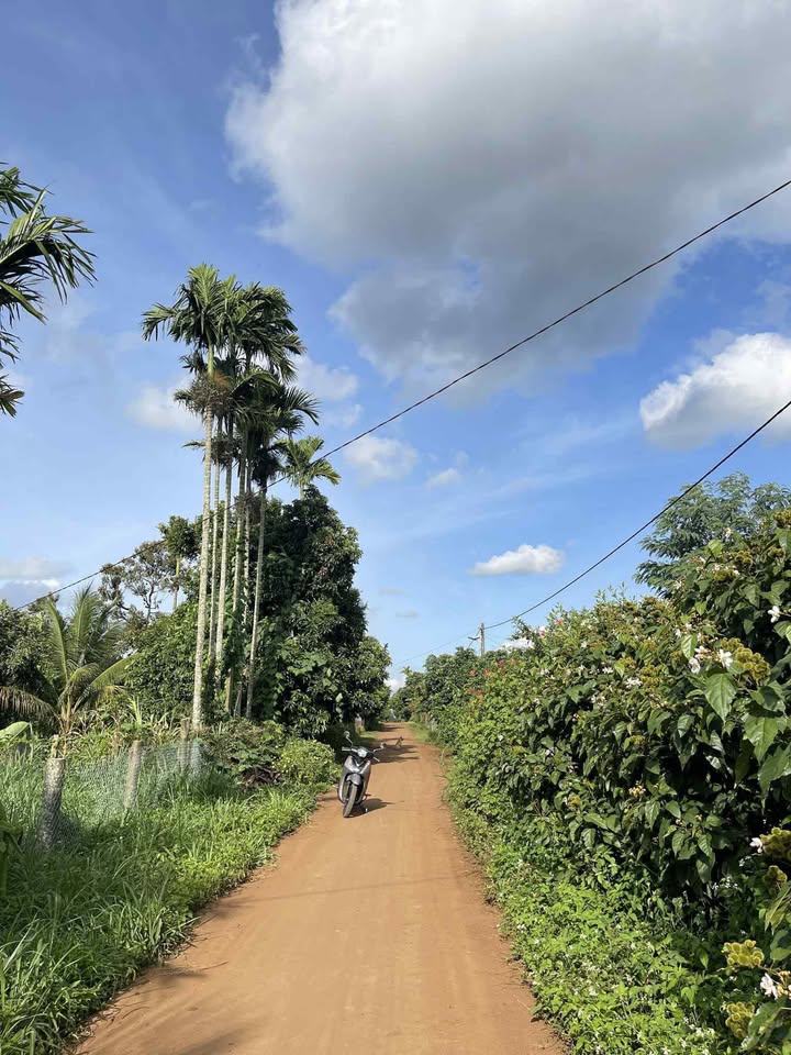 Đất nền Cư Bao Buôn Hồ 60m² giá chỉ 319 triệu - Sổ hồng chính chủ!