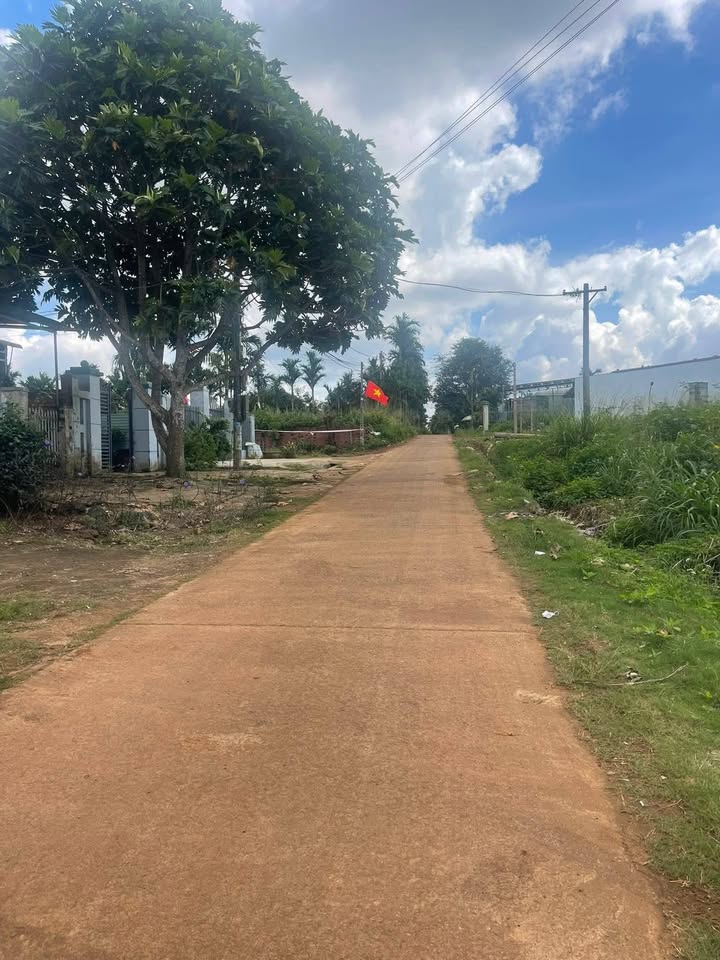 Đất nền Mặt tiền Mạc Đĩnh Chi, Đạt Hiếu 300m² giá chỉ 1.3 tỷ - Cơ hội đầu tư tuyệt vời!