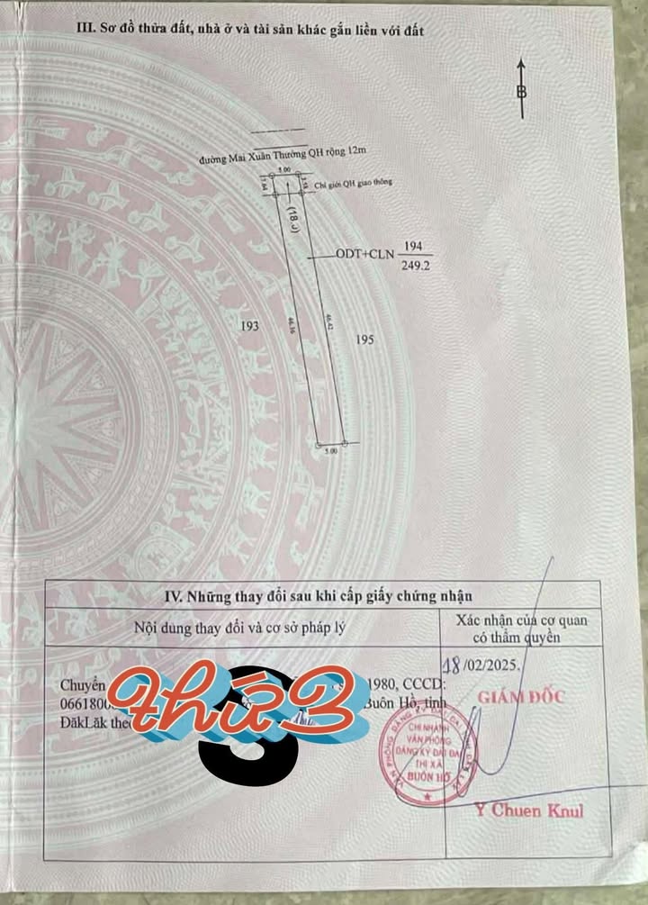 Đất nền mặt đường nhựa Đạt Hiếu 250m² - Cơ hội đầu tư hấp dẫn!