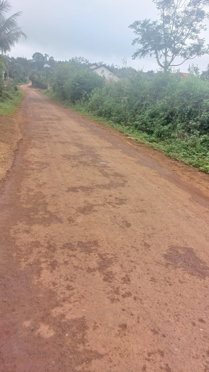 Đất nền Đắk Mil 300m² giá 800 triệu - Cơ hội đầu tư hiếm có!