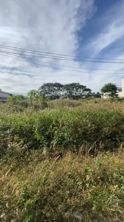 Đất nền lô 6 Dốc 20, Thị Trấn Chư Prông, 259m² - Giá Thỏa Thuận, Đầu Tư Sinh Lợi!