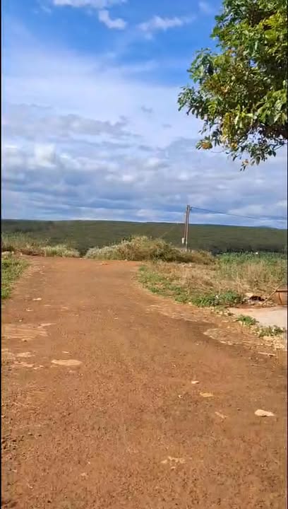 Đất nền lô góc 150m² tại xã Chư Prông - Giá chỉ 1.25 tỷ, cơ hội đầu tư hấp dẫn!