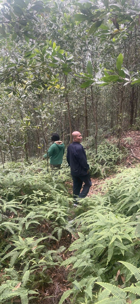 Bán đất farm tại Bình Sơn, Sông Công 5.000m² - Sát hồ, không khí trong lành!