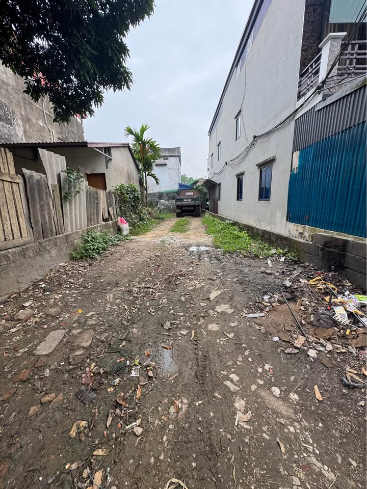 Đất thổ cư 2 mặt tiền Quán Triều 83.5m² giá chỉ 1.6 tỷ - Cơ hội đầu tư tuyệt vời!