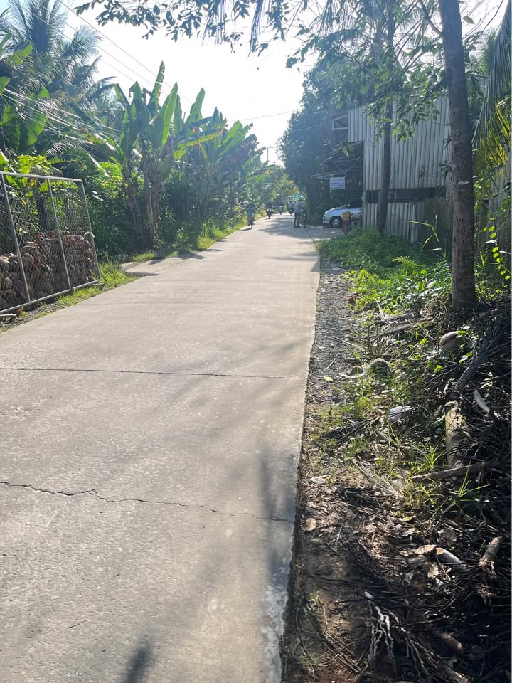 Đất thổ cư 2228m² tại Thuận Điền, Bến Tre - Giá chỉ 2.6 tỷ, tặng nhà cấp 4!