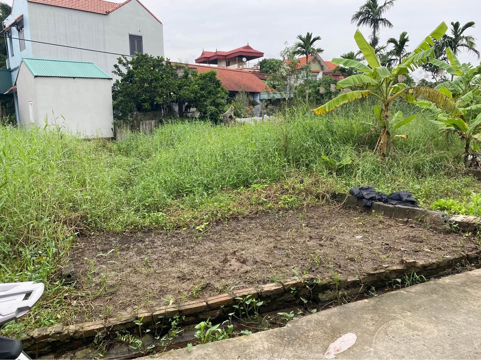 Đất nền Hồng Vân Thường Tín 80m² giá 5.2 tỷ - Cơ hội đầu tư sinh lời lớn!