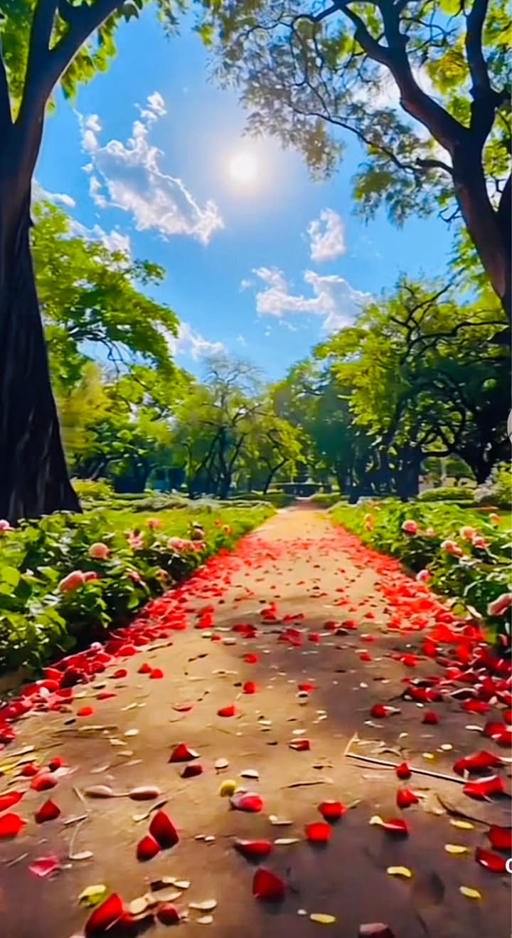 Nhà mặt tiền Bạch Đằng, phường Quy Nhơn, 77m² giá 4.68 tỷ - Cơ hội đầu tư hấp dẫn!