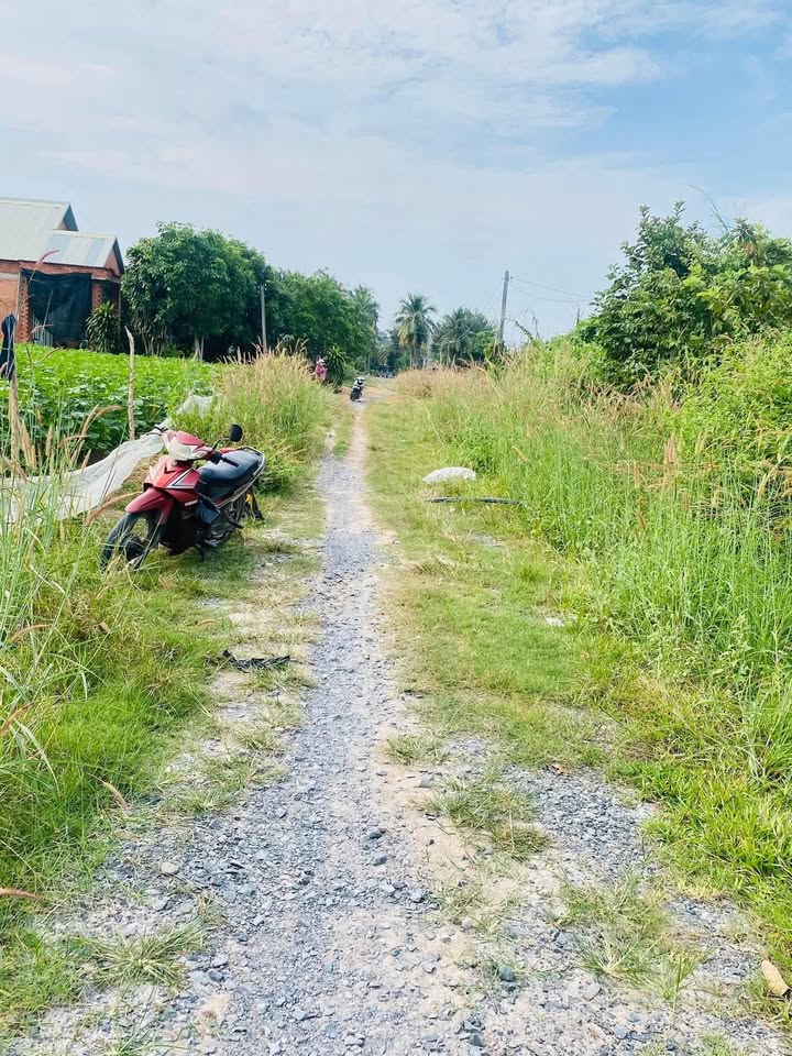 Đất nền Trường Đông, Long Hoa, Tây Ninh 280m² giá 520 triệu - Cơ hội đầu tư không thể bỏ lỡ!