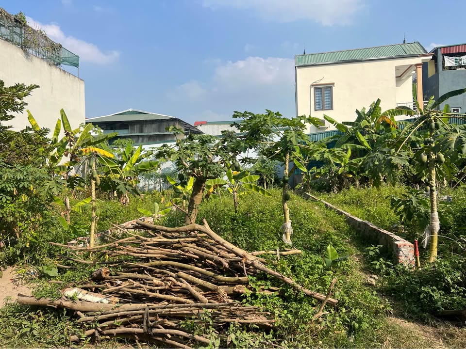 Đất nền Thịnh Lang Hòa Bình 92m² giá 1 tỷ - Lô đất hướng Tây thoáng mát!