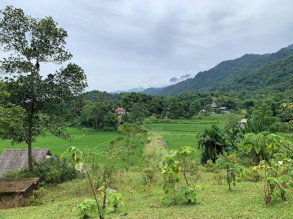 Đất nền Nhân Mỹ, Tân Lạc 4047m² - View núi đồi đẹp, giá thỏa thuận!