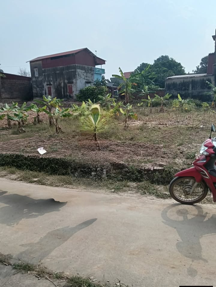 Đất nền đẹp tại Cao Đồng, Yên Dũng - 100m² giá thỏa thuận - Sẵn sàng đầu tư!