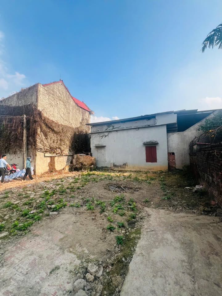 Đất nền Bích Động, Việt Yên 93m² giá 1.6 tỷ - Cơ hội đầu tư hấp dẫn!