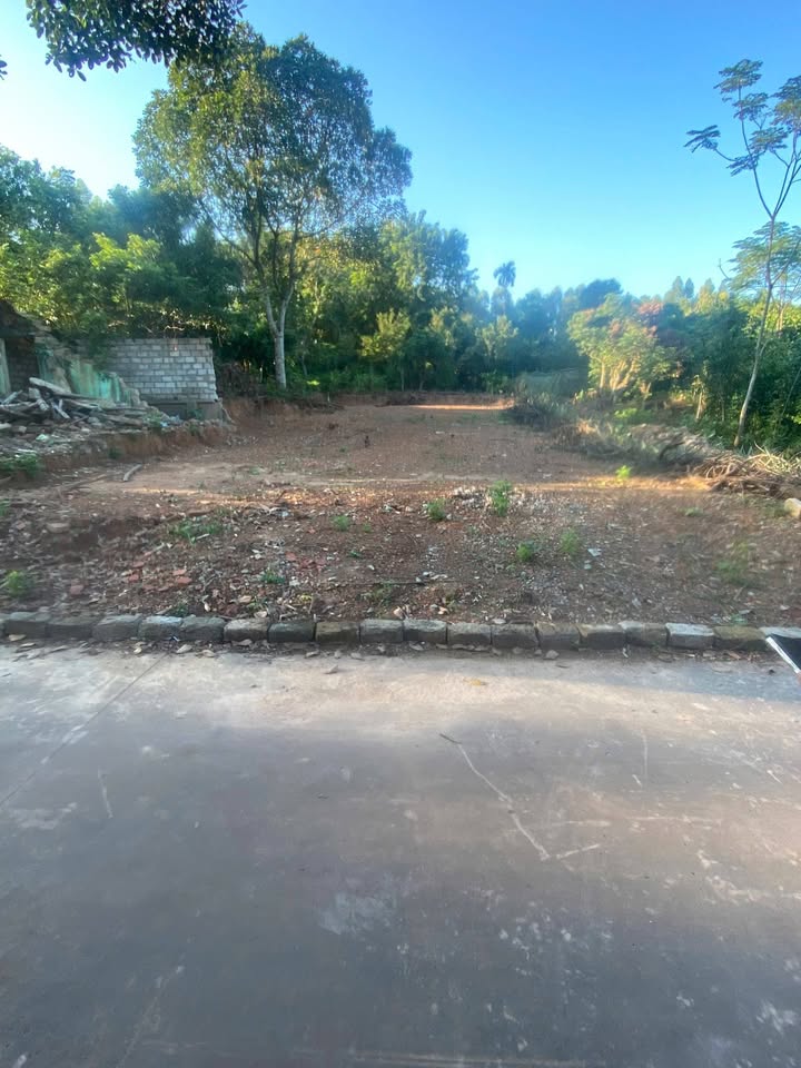 Đất nền Tân Thanh Lạng Giang 300m² giá 1.5 tỷ - Phù hợp xây xưởng hoặc biệt thự!