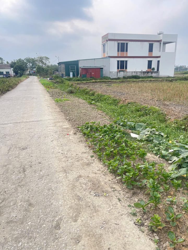 Đất nền Quảng Ninh 150m² giá 700 triệu - Đầu tư sinh lời lý tưởng!