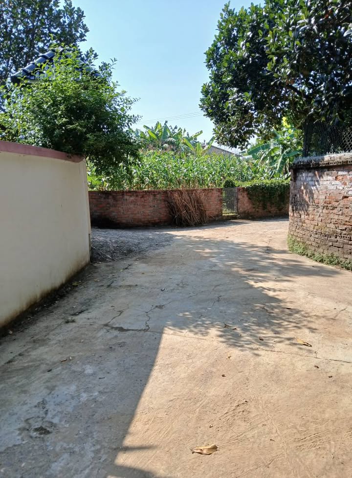 Đất nền Thanh Miếu, Việt Trì 102m² giá chỉ 1 tỷ - Đầu tư sinh lời ngay!