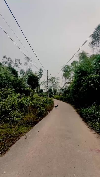 Đất nền Phường Âu Cơ, Phú Thọ 142m² giá 480 triệu - Lô góc hai mặt tiền thoáng đãng!