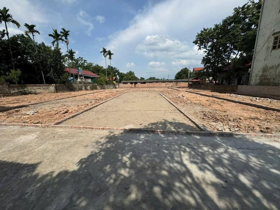 Đất nền Võng Xuyên Phúc Thọ 82m² giá 2 tỷ - Sổ đỏ chính chủ, đầu tư sinh lời!