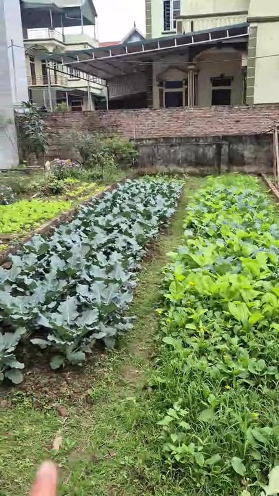 Đất thổ cư An Khánh 53m² giá 3.932 tỷ - Vị trí thuận lợi, oto đỗ gần!