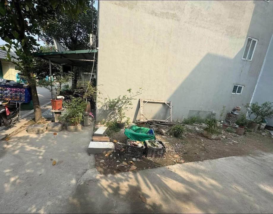 Bán đất thổ cư Đại Tự, Hoài Đức 30m² - Vị trí kinh doanh đắc địa