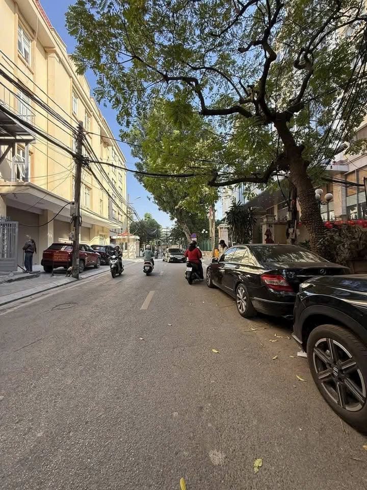 Nhà phố Tôn Thất Thiệp, Ba Đình 125m² - Cơ hội hiếm có cho gia đình bạn!