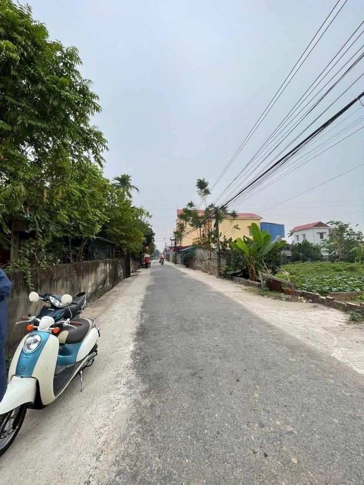 Đất nền chính chủ tại Mỹ Tân, Nam Định 304m² - Giá thỏa thuận hấp dẫn!