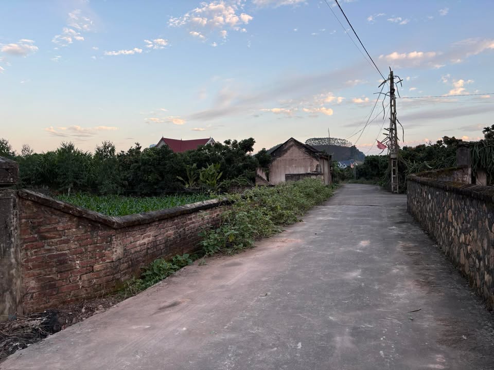 Lô đất Vô Tranh Lục Nam 388m² giá chỉ 400 triệu - Cơ hội đầu tư tuyệt vời!