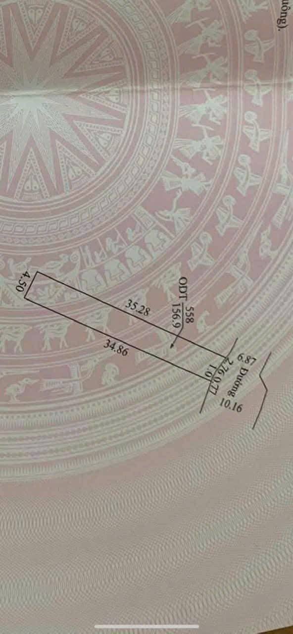 Đất nền phường Sao Đỏ, TP Chí Linh 156.9m² chỉ 2 tỷ - Cơ hội đầu tư tuyệt vời!