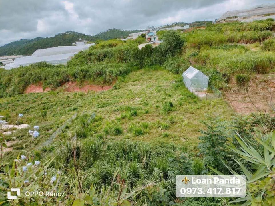 Đất nền Đà Lạt 83m² giá chỉ 650 triệu - Cơ hội đầu tư tuyệt vời!