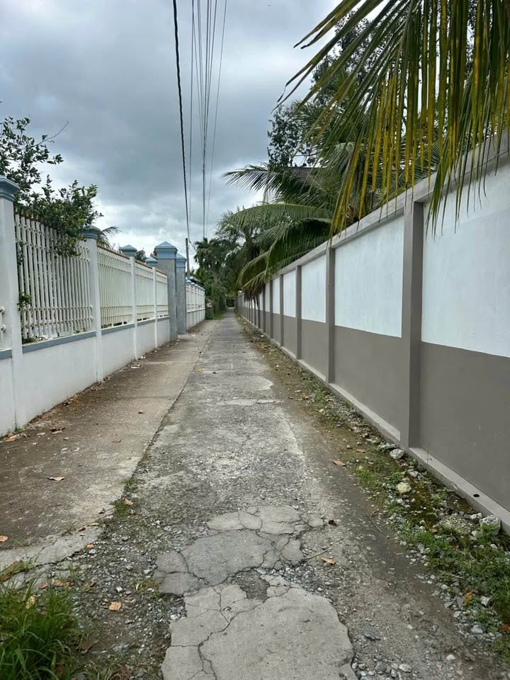 Đất nền Tường Lộc, Tam Bình 260m² giá chỉ 370 triệu - Đầu tư sinh lời ngay!