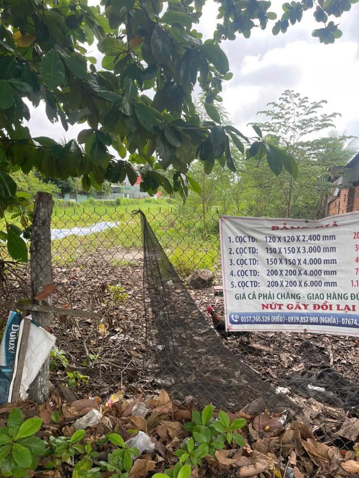 Cho thuê mặt bằng 2 mặt tiền Quốc lộ 53, xã Long Hồ, Vĩnh Long, diện tích 1.700m² - Địa điểm kinh doanh lý tưởng!