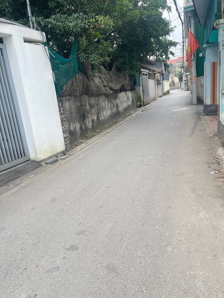 Đất nền Bát Tràng, Gia Lâm 58m² giá 6 tỷ - Tiện ích đầy đủ gần Vinhomes Ocean Park!