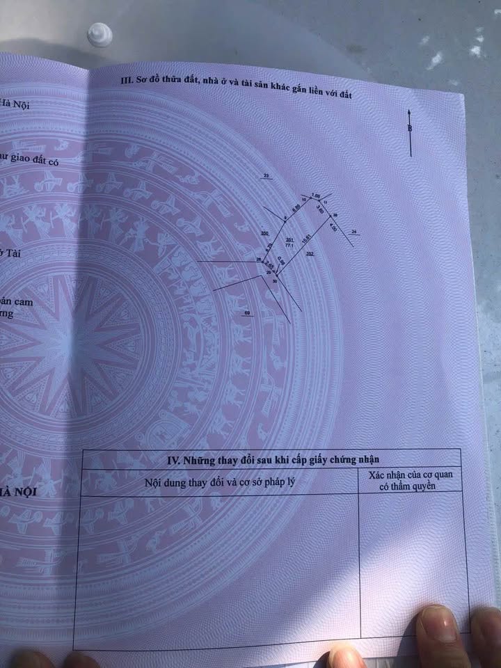 Đất nền Thôn Thiên Đông, xã Tam Hưng, diện tích 77m² - Ô tô đỗ cửa, giá tốt!