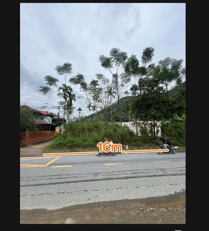 Đất mặt Quốc lộ 32A, Địch Quả, Thanh Sơn, 292m² - Đầu tư sinh lời tuyệt vời!