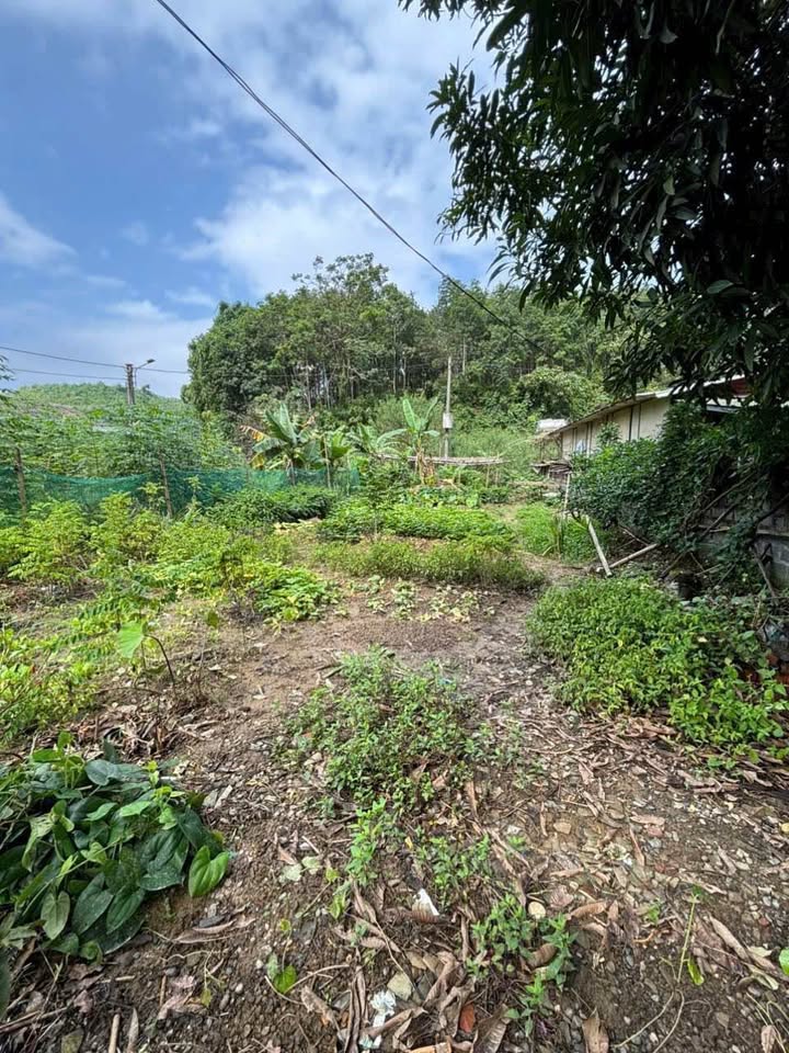 Đất nền Cốc San Lào Cai 178m² giá 1.3 tỷ - Đầu tư sinh lời ngay!