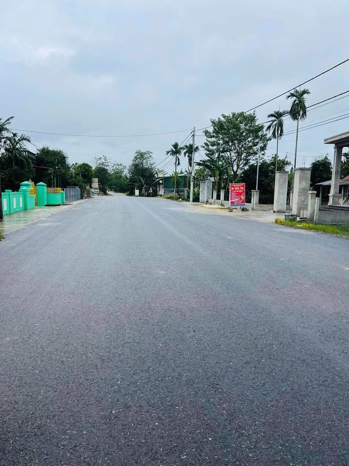 Đất mặt tiền Triệu Long, 238m² giá 700 triệu - Cơ hội đầu tư sinh lời!