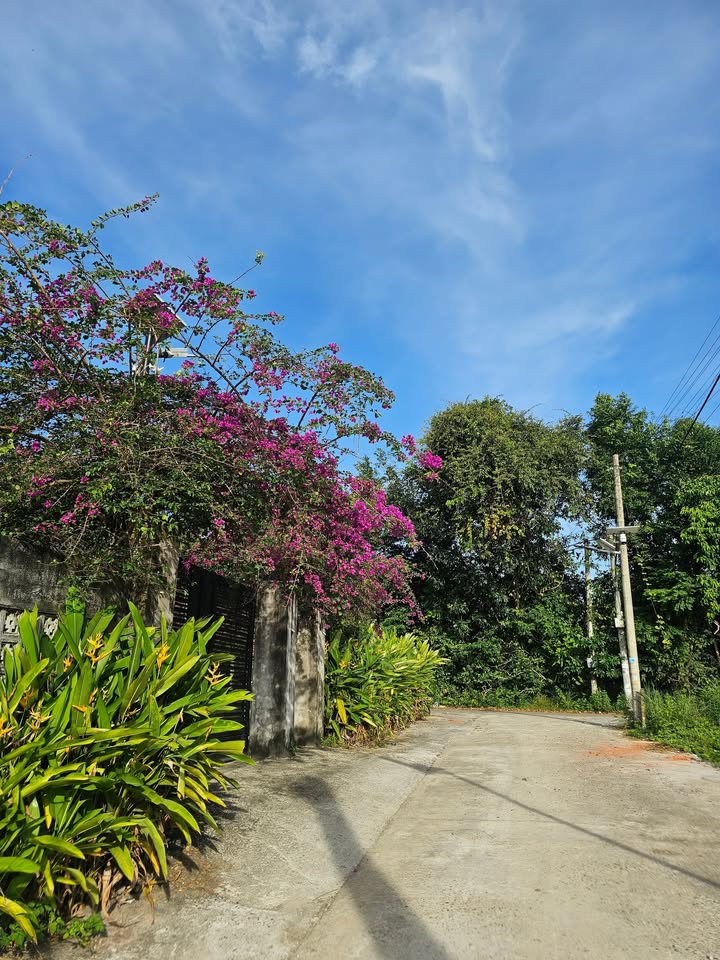 Bán đất thổ cư Suối Đá Phú Quốc 114m² giá 2 tỷ - Đường 30/4 ô tô vào tận nơi!