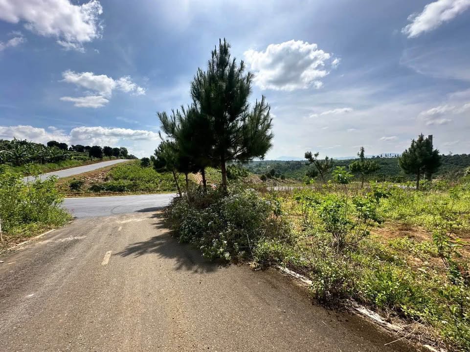 Đất nền Lộc An 125m² giá 539 triệu - Đầu tư sinh lời tuyệt vời!