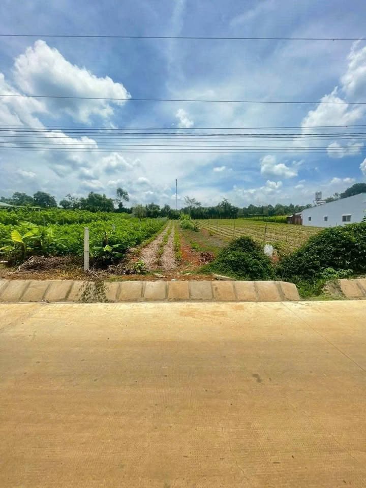 Đất nền 1625m² mặt tiền Tôn Thất Thuyết, Bảo Lộc - Giá 3.5 tỷ, cơ hội đầu tư tuyệt vời!