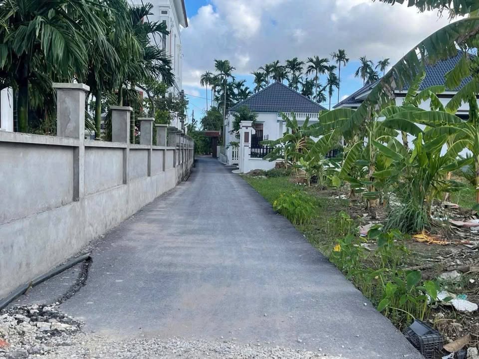 Đất nền Tân Phong - Kiến Thụy 64m² giá 700 triệu - Cơ hội đầu tư tuyệt vời!