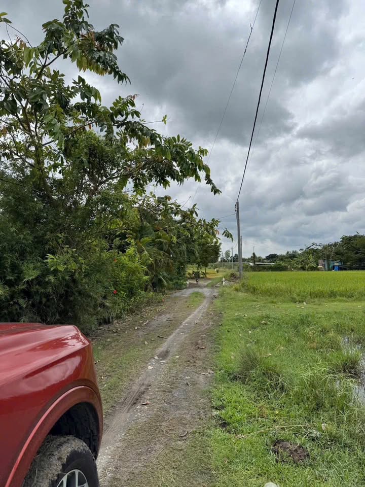 Đất vườn Thái Mỹ Củ Chi 610m² giá 1.2 tỷ - Sổ đỏ chính chủ, đường ô tô vào!