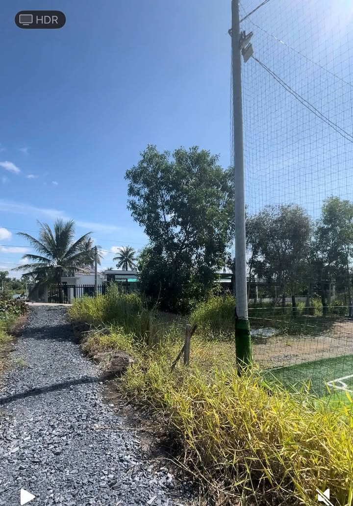 Đất vườn chính chủ 3000m² Lương Hoà, Bến Lức - Giá tốt, thương lượng