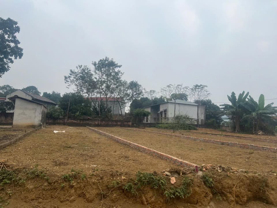 Đất nền Cấp Dẫn, Cẩm Khê 130m² giá 400 triệu - Đầu tư sinh lời tiềm năng!