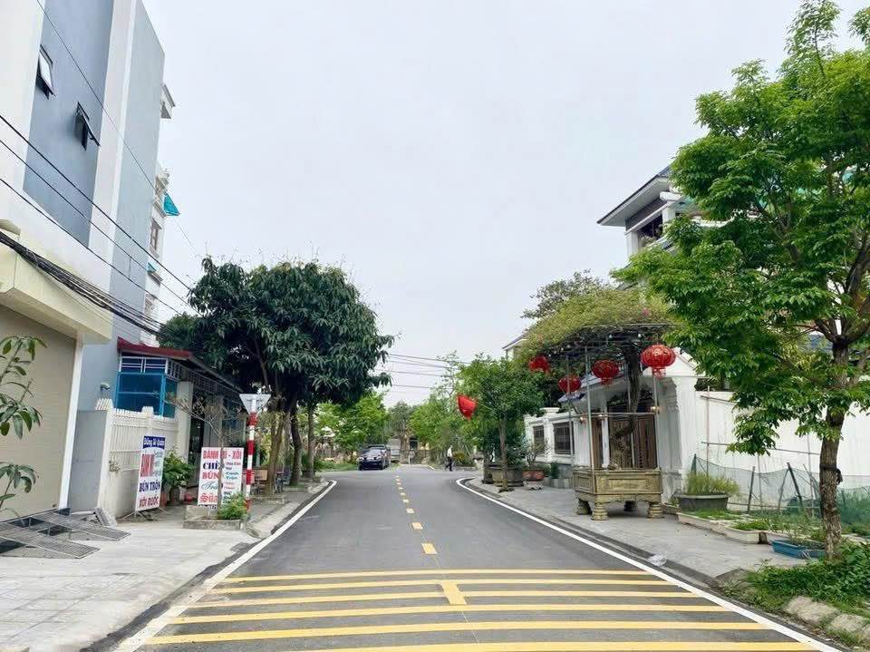 Đất Ninh Mỹ - Đường Trục Chính Hoa Lư 111m² - Giá cực sốc, thương lượng mạnh!