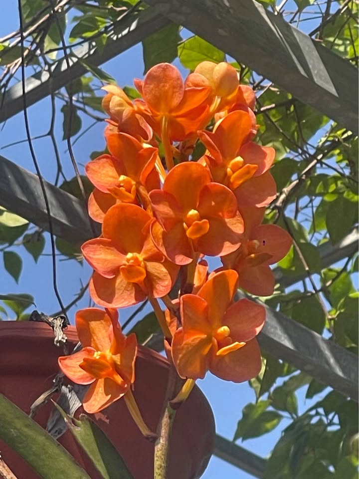 Đất Ninh Tiến, Ninh Bình 120m² giá 7 tỷ - Sổ hồng chính chủ, đầu tư sinh lời!