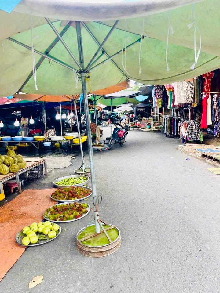 Đất nền Chợ Sao Mai - Tân Hiệp 100m² giá chỉ 2.2 tỷ - Cơ hội đầu tư hấp dẫn!